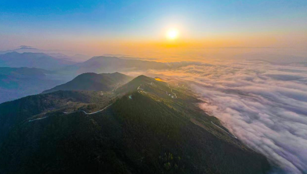  “五彩紅獅”邀你走進(jìn)多彩鄉村，共赴一場(chǎng)春天的約會(huì )！