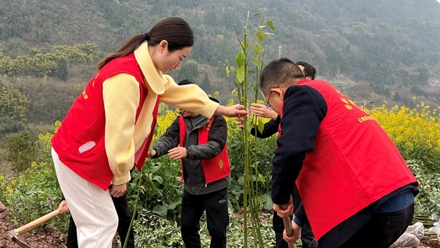  天景初中開(kāi)展植樹(shù)護綠活動(dòng)