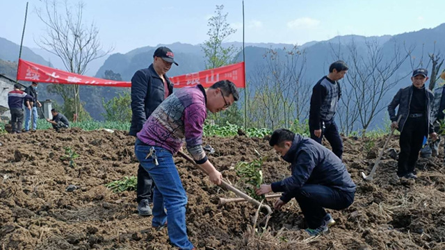 沙市鎮開(kāi)展“我為祖國植10棵樹(shù)”活動(dòng)