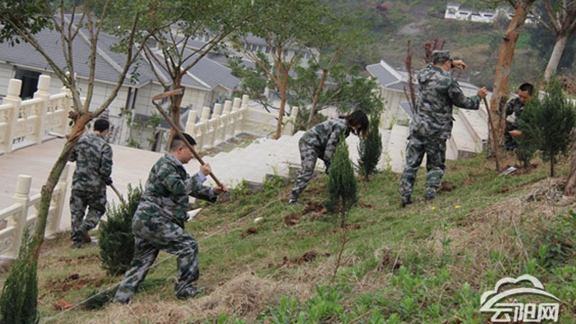 縣退役軍人事務(wù)局開(kāi)展“我為祖國植10棵樹(shù)”活動(dòng)